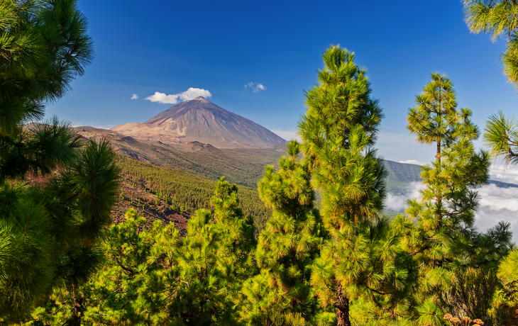 Vulkan Teide