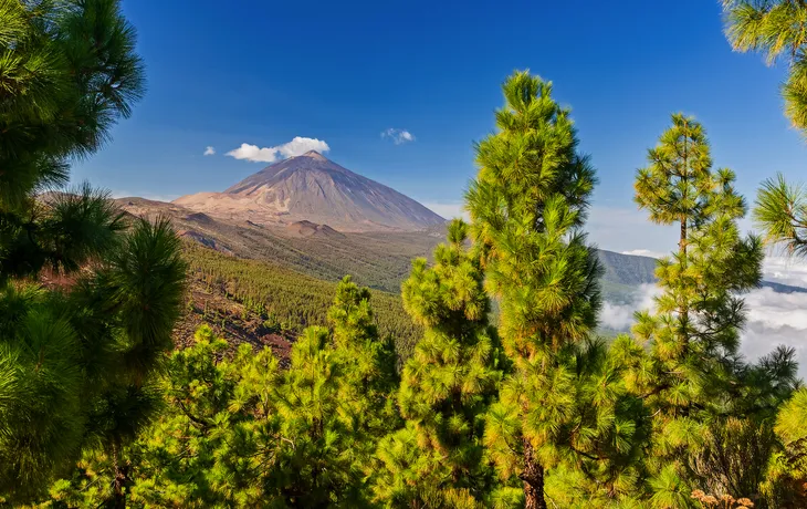 Vulkan Teide
