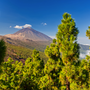 Vulkan Teide