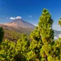 Vulkan Teide