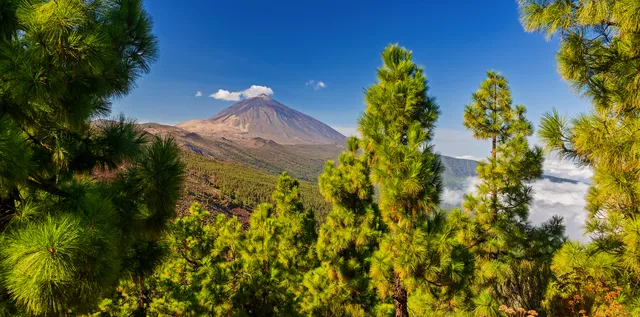 Vulkan Teide