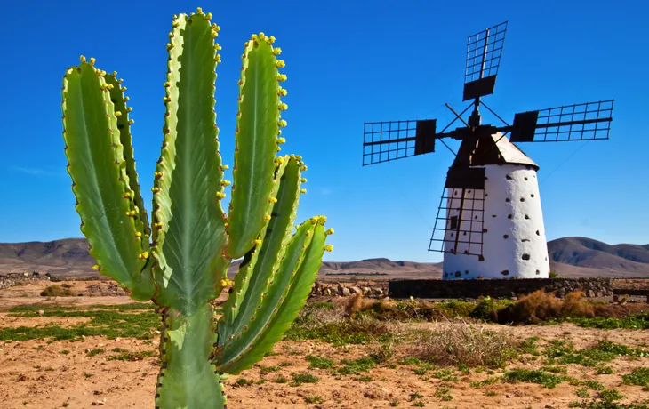 Fuerteventura