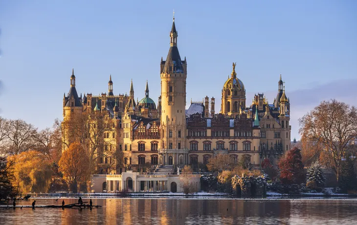 Schweriner Schloss im Winter, Schweriner See mit Kormorane im Vordergrund