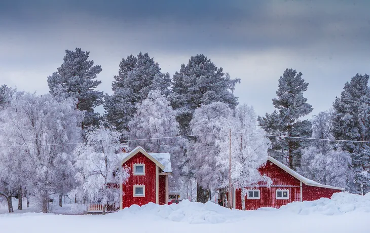 Cold winter in Sweden