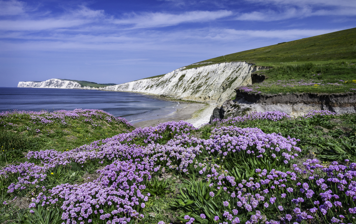Isle of Wight