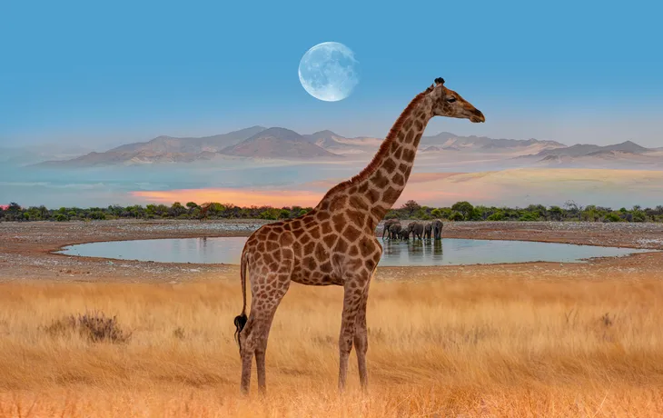 Namibia