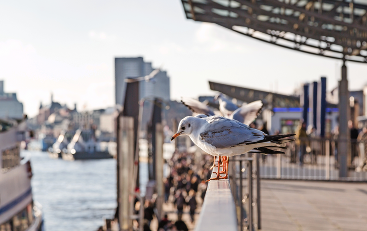 Hamburger Hafen