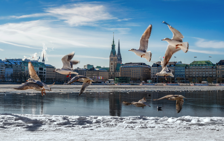 Alster