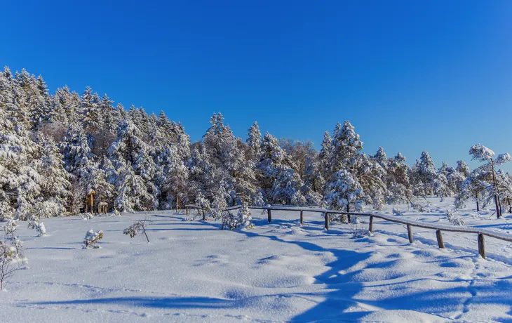 Winter Exploration tour through the Rhön in near the Schwarzen 