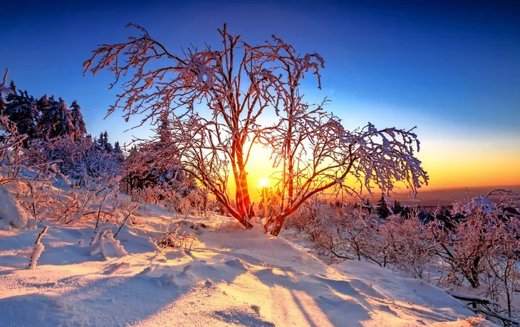 Taunus