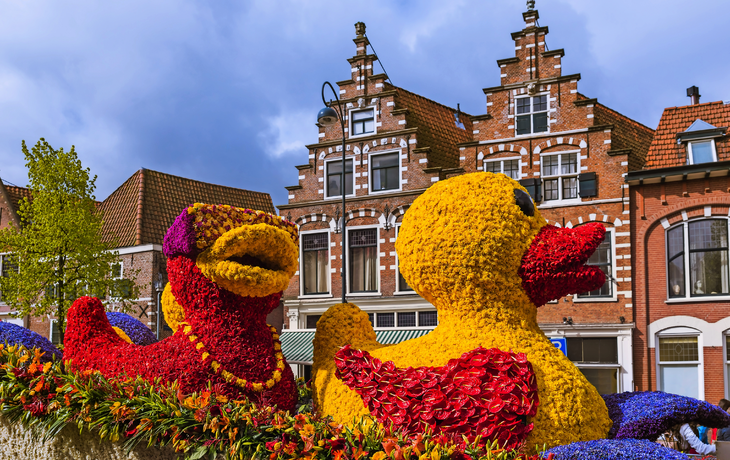 Blumenkorso EXPO Haarlem