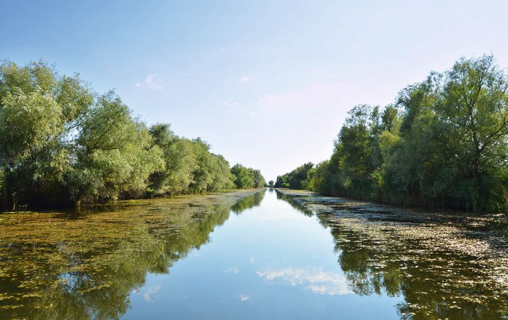 Donaudelta