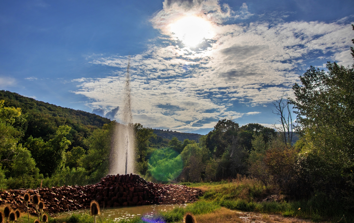 Geysir in Andernach