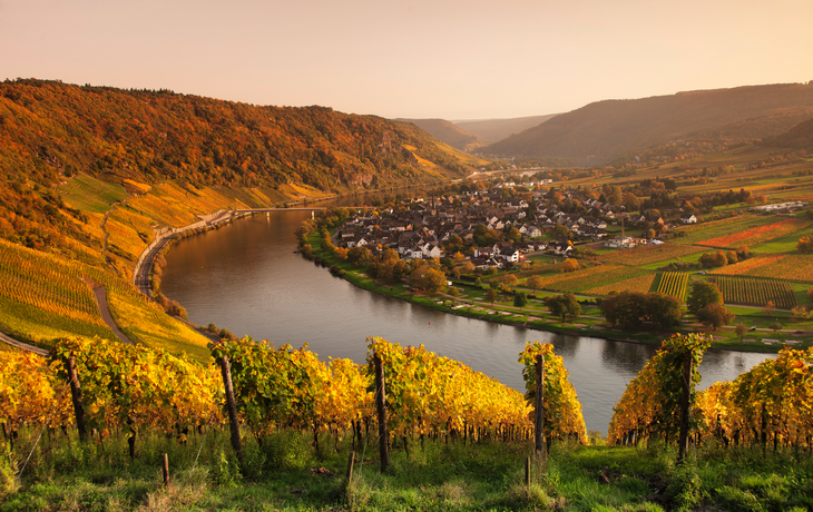 Moselschleife
