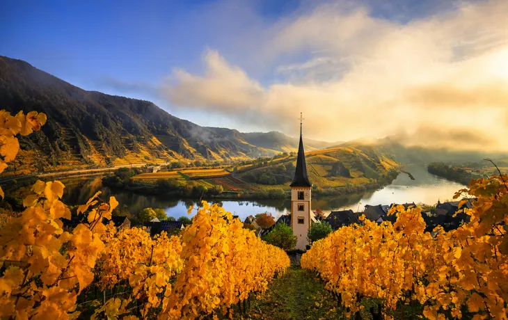 Mosel / Moselschleife