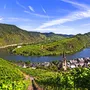 Weinberg mit roten Trauben bei Sonnenuntergang
