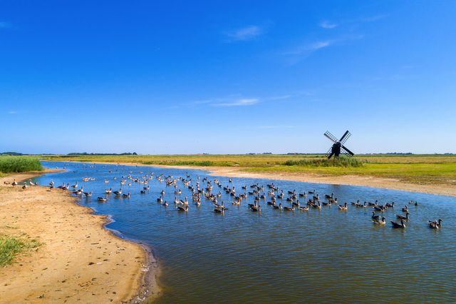Texel
