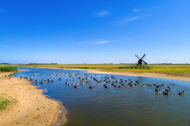 Texel