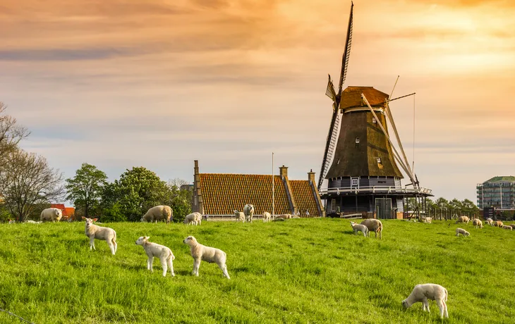 Windmühle