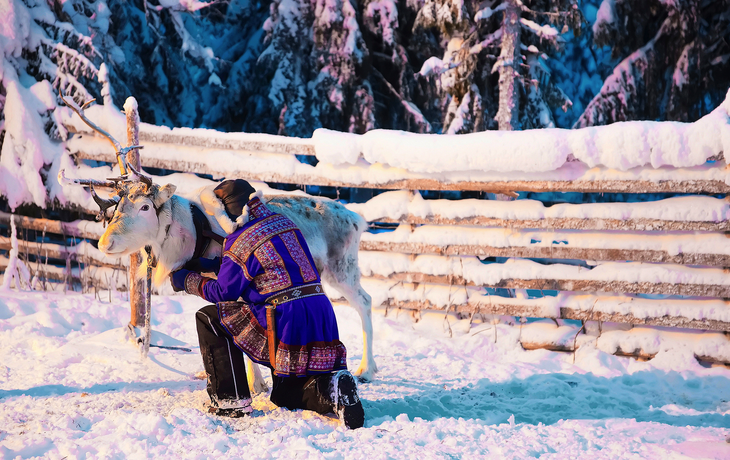 Rentier, Lappland