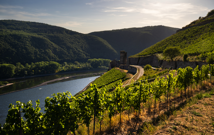 Rüdesheim