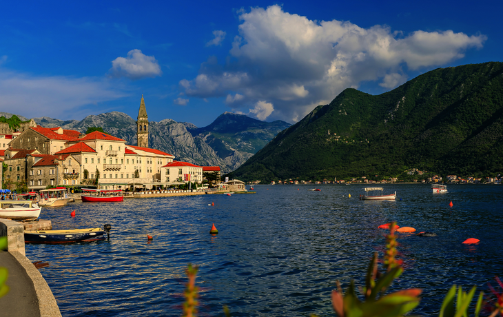 Kotor