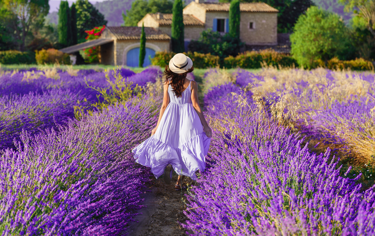 Provence