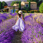 Provence