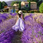 Provence