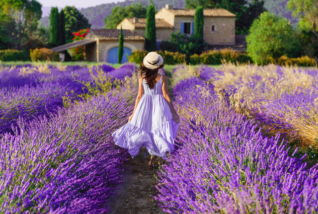Provence