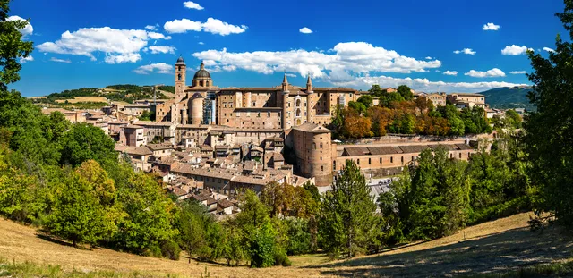 Urbino