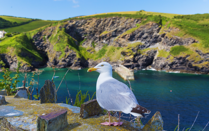 Cornwall