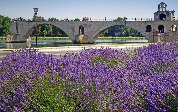 Avignon
