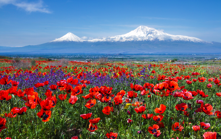 Ararat