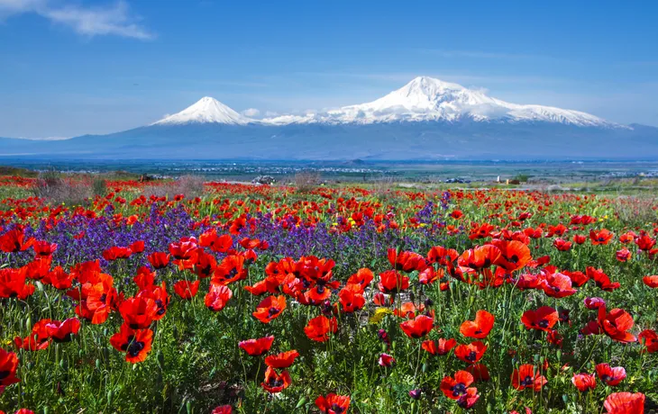 Ararat