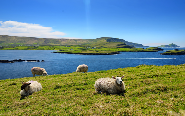 Irland