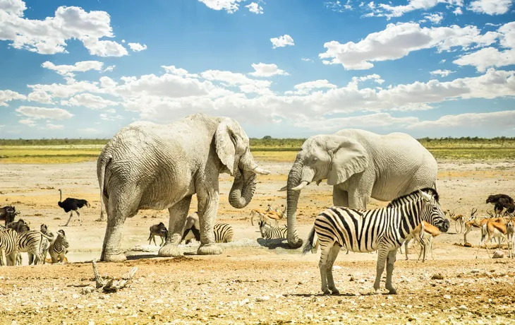 Etosha Nationalpark