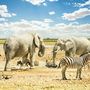 Etosha Nationalpark