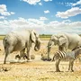 Etosha Nationalpark