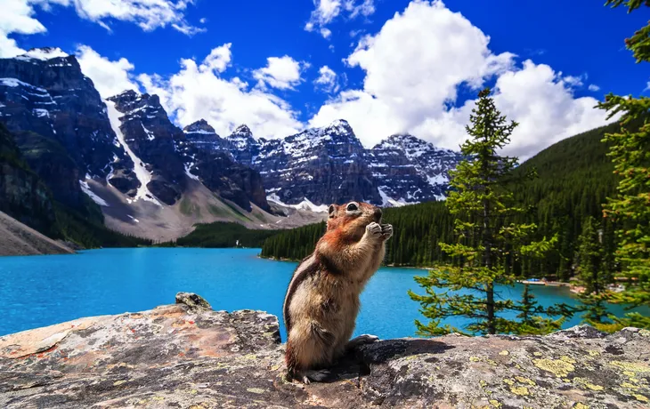 Moraine Lake, Banff-Nationalpark