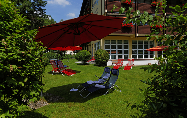 Garten / Liegewiese