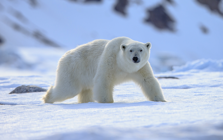 Spitzbergen