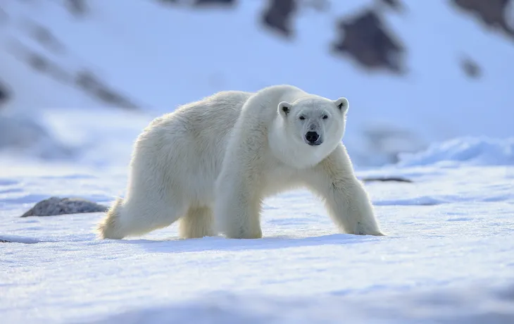 Spitzbergen