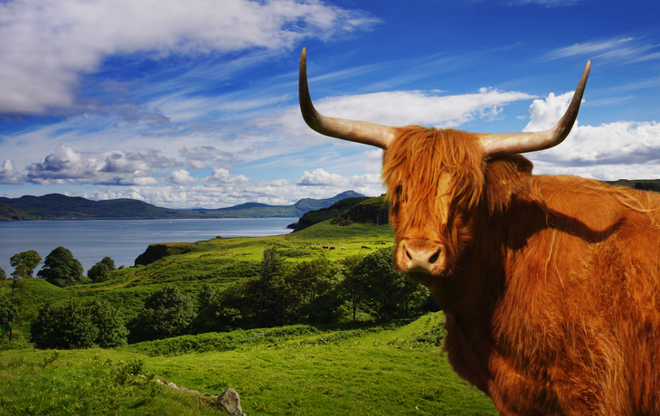 Highlands