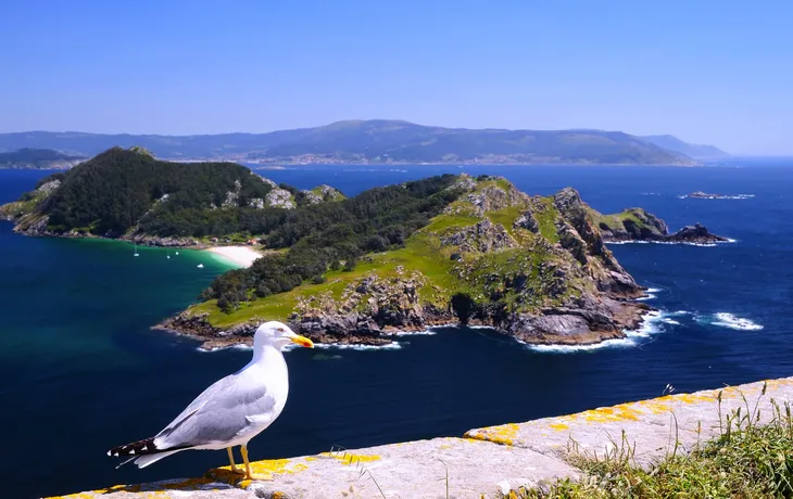 Vigo