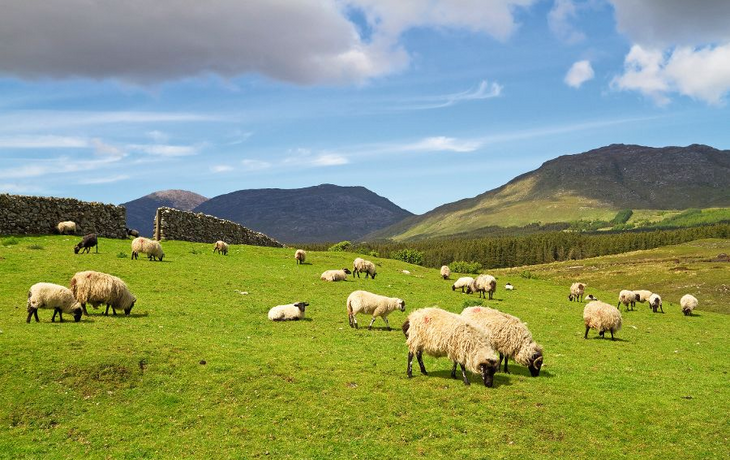 Connemara