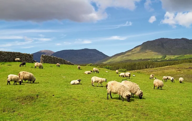 Connemara
